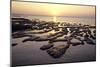 Sunset over the tideland, Sylt, Schleswig-Holstein, Germany-null-Mounted Art Print