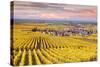 Sunset over the Vineyards of Oger, Champagne Ardenne, France-Matteo Colombo-Stretched Canvas