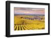 Sunset over the Vineyards of Oger, Champagne Ardenne, France-Matteo Colombo-Framed Photographic Print
