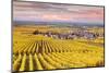 Sunset over the Vineyards of Oger, Champagne Ardenne, France-Matteo Colombo-Mounted Photographic Print