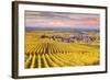 Sunset over the Vineyards of Oger, Champagne Ardenne, France-Matteo Colombo-Framed Photographic Print