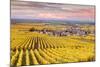 Sunset over the Vineyards of Oger, Champagne Ardenne, France-Matteo Colombo-Mounted Photographic Print