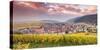 Sunset over the Vineyards Surrounding Riquewihr, Alsace, France-Matteo Colombo-Stretched Canvas
