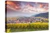 Sunset over the Vineyards Surrounding Riquewihr, Alsace, France-Matteo Colombo-Stretched Canvas