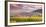 Sunset over the Vineyards Surrounding Riquewihr, Alsace, France-Matteo Colombo-Framed Photographic Print