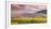 Sunset over the Vineyards Surrounding Riquewihr, Alsace, France-Matteo Colombo-Framed Photographic Print