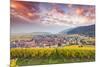 Sunset over the Vineyards Surrounding Riquewihr, Alsace, France-Matteo Colombo-Mounted Photographic Print