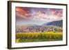 Sunset over the Vineyards Surrounding Riquewihr, Alsace, France-Matteo Colombo-Framed Photographic Print