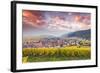 Sunset over the Vineyards Surrounding Riquewihr, Alsace, France-Matteo Colombo-Framed Photographic Print