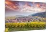 Sunset over the Vineyards Surrounding Riquewihr, Alsace, France-Matteo Colombo-Mounted Photographic Print