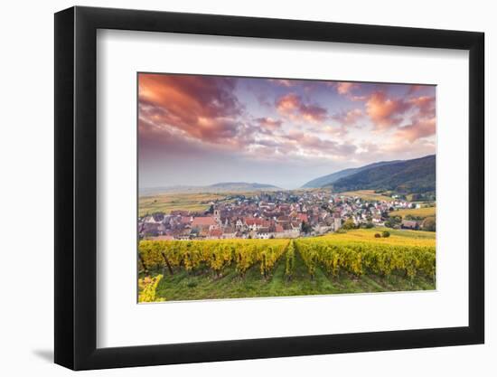 Sunset over the Vineyards Surrounding Riquewihr, Alsace, France-Matteo Colombo-Framed Photographic Print