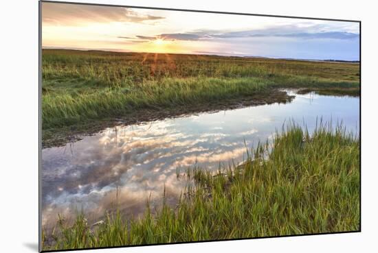 Sunset over Tidal Marsh at Massachusetts Audubon Wellfleet Bay Wildlife Sanctuary-Jerry and Marcy Monkman-Mounted Photographic Print