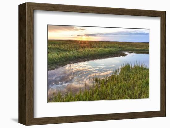 Sunset over Tidal Marsh at Massachusetts Audubon Wellfleet Bay Wildlife Sanctuary-Jerry and Marcy Monkman-Framed Photographic Print