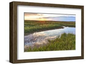 Sunset over Tidal Marsh at Massachusetts Audubon Wellfleet Bay Wildlife Sanctuary-Jerry and Marcy Monkman-Framed Photographic Print