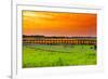 Sunset over Tulips-gkuna-Framed Photographic Print