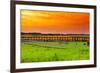 Sunset over Tulips-gkuna-Framed Photographic Print