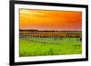 Sunset over Tulips-gkuna-Framed Photographic Print