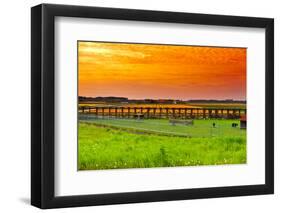 Sunset over Tulips-gkuna-Framed Photographic Print