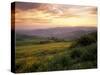 Sunset over Val D'Orcia, Near Castiglione D'Orcia, Tuscany, Italy, Europe-Patrick Dieudonne-Stretched Canvas