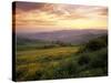 Sunset over Val D'Orcia, Near Castiglione D'Orcia, Tuscany, Italy, Europe-Patrick Dieudonne-Stretched Canvas