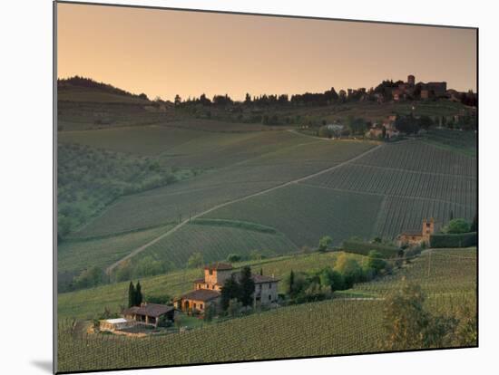 Sunset over Vineyards Near Panzano in Chianti, Chianti, Tuscany, Italy, Europe-Patrick Dieudonne-Mounted Photographic Print