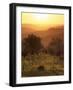 Sunset over Vineyards Near Panzano in Chianti, Chianti, Tuscany, Italy, Europe-Patrick Dieudonne-Framed Photographic Print