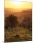 Sunset over Vineyards Near Panzano in Chianti, Chianti, Tuscany, Italy, Europe-Patrick Dieudonne-Mounted Photographic Print