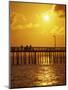 Sunset Over Virginia Beach, VA-Chris Rogers-Mounted Photographic Print