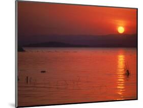 Sunset Over Water, Kenya-Mitch Diamond-Mounted Photographic Print