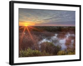 Sunset over Wetlands at Ocean Shores, Washington, USA-Tom Norring-Framed Photographic Print