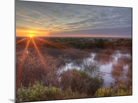 Sunset over Wetlands at Ocean Shores, Washington, USA-Tom Norring-Mounted Photographic Print