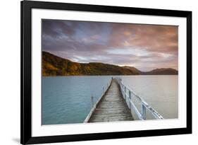 Sunset over Wharf in Idyllic Kenepuru Sound, Marlborough Sounds, South Island, New Zealand-Doug Pearson-Framed Photographic Print