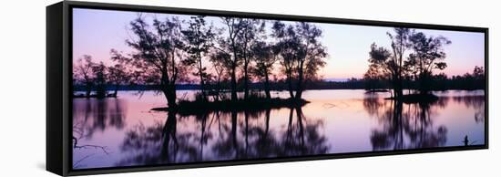 Sunset over Wildlife Refuge of Lake Fausse Pointe State Park, Louisiana-null-Framed Stretched Canvas