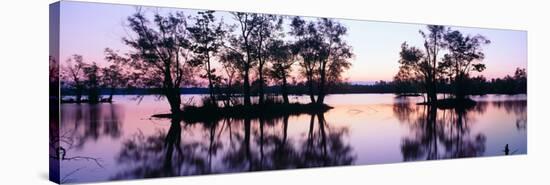 Sunset over Wildlife Refuge of Lake Fausse Pointe State Park, Louisiana-null-Stretched Canvas