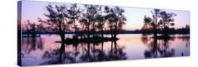 Sunset over Wildlife Refuge of Lake Fausse Pointe State Park, Louisiana-null-Stretched Canvas