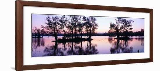 Sunset over Wildlife Refuge of Lake Fausse Pointe State Park, Louisiana-null-Framed Photographic Print
