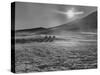 Sunset over Wintry Montana Landscape-Robert W^ Kelley-Stretched Canvas