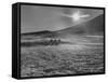 Sunset over Wintry Montana Landscape-Robert W^ Kelley-Framed Stretched Canvas