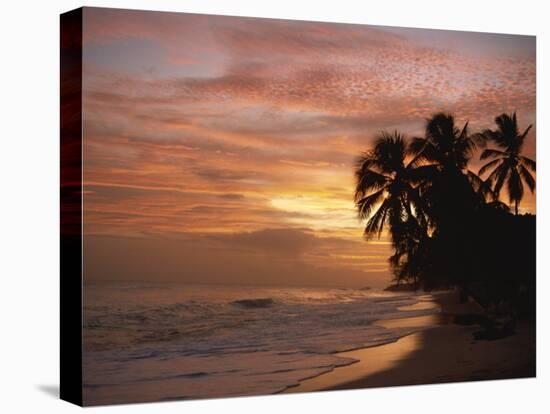 Sunset over Worthing Beach, Christ Church, Barbados, West Indies, Caribbean, Central America-Robert Francis-Stretched Canvas