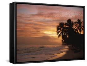 Sunset over Worthing Beach, Christ Church, Barbados, West Indies, Caribbean, Central America-Robert Francis-Framed Stretched Canvas