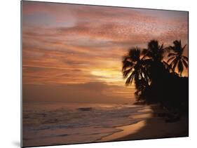 Sunset over Worthing Beach, Christ Church, Barbados, West Indies, Caribbean, Central America-Robert Francis-Mounted Photographic Print