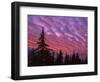 Sunset Painting Clouds Over Forest, Three Sisters Wilderness, Oregon, USA-Steve Terrill-Framed Photographic Print