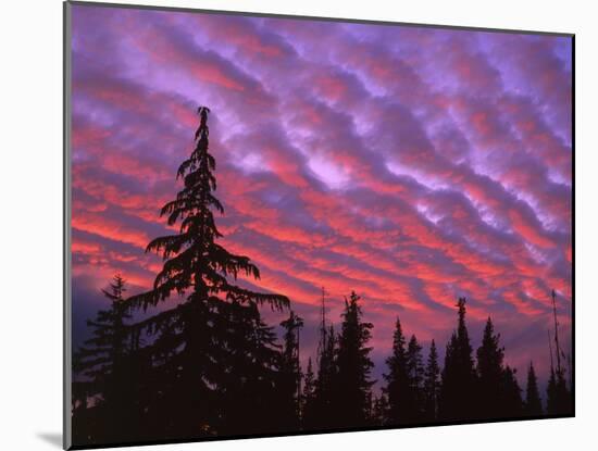 Sunset Painting Clouds Over Forest, Three Sisters Wilderness, Oregon, USA-Steve Terrill-Mounted Photographic Print