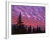 Sunset Painting Clouds Over Forest, Three Sisters Wilderness, Oregon, USA-Steve Terrill-Framed Photographic Print