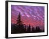 Sunset Painting Clouds Over Forest, Three Sisters Wilderness, Oregon, USA-Steve Terrill-Framed Photographic Print