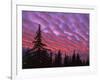 Sunset Painting Clouds Over Forest, Three Sisters Wilderness, Oregon, USA-Steve Terrill-Framed Photographic Print