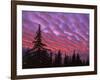 Sunset Painting Clouds Over Forest, Three Sisters Wilderness, Oregon, USA-Steve Terrill-Framed Photographic Print