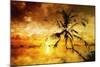 Sunset Palm I - In the Style of Oil Painting-Philippe Hugonnard-Mounted Giclee Print