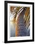 Sunset Palm Islamorada-John Gynell-Framed Giclee Print