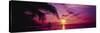 Sunset, Palm Trees, Beach, Water, Ocean, Montego Bay Jamaica-null-Stretched Canvas